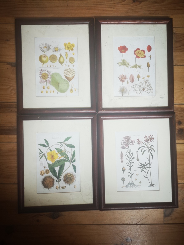 lot de quatre cadres vintage fleurs gravure