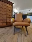 Fauteuil Zanuso design 60s