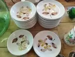 Lot de 18 assiettes vintage